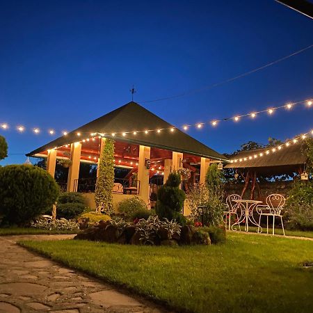 Casa Moldovan Ocna Şugatag エクステリア 写真