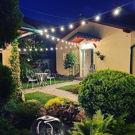 Casa Moldovan Ocna Şugatag エクステリア 写真