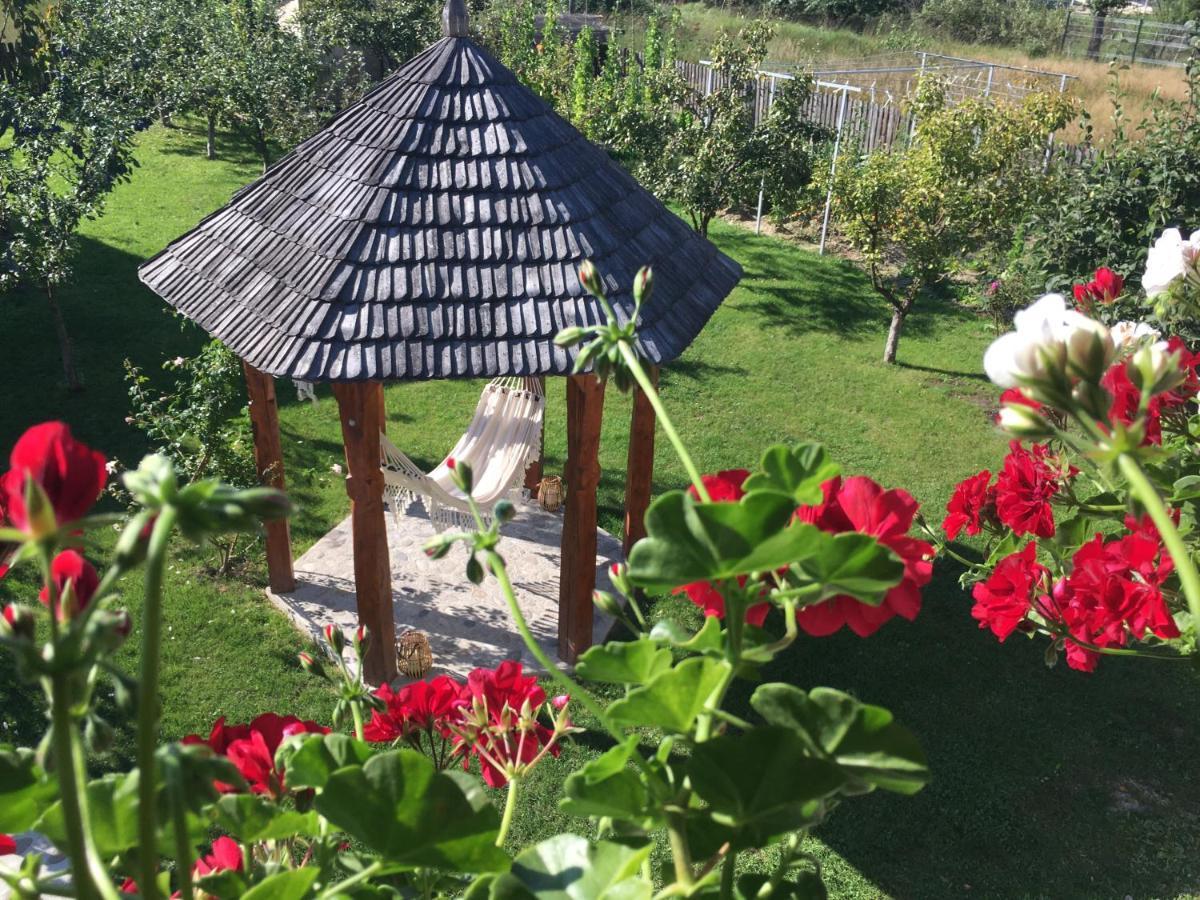 Casa Moldovan Ocna Şugatag エクステリア 写真