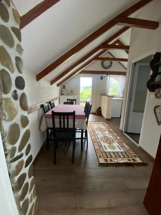 Casa Moldovan Ocna Şugatag エクステリア 写真