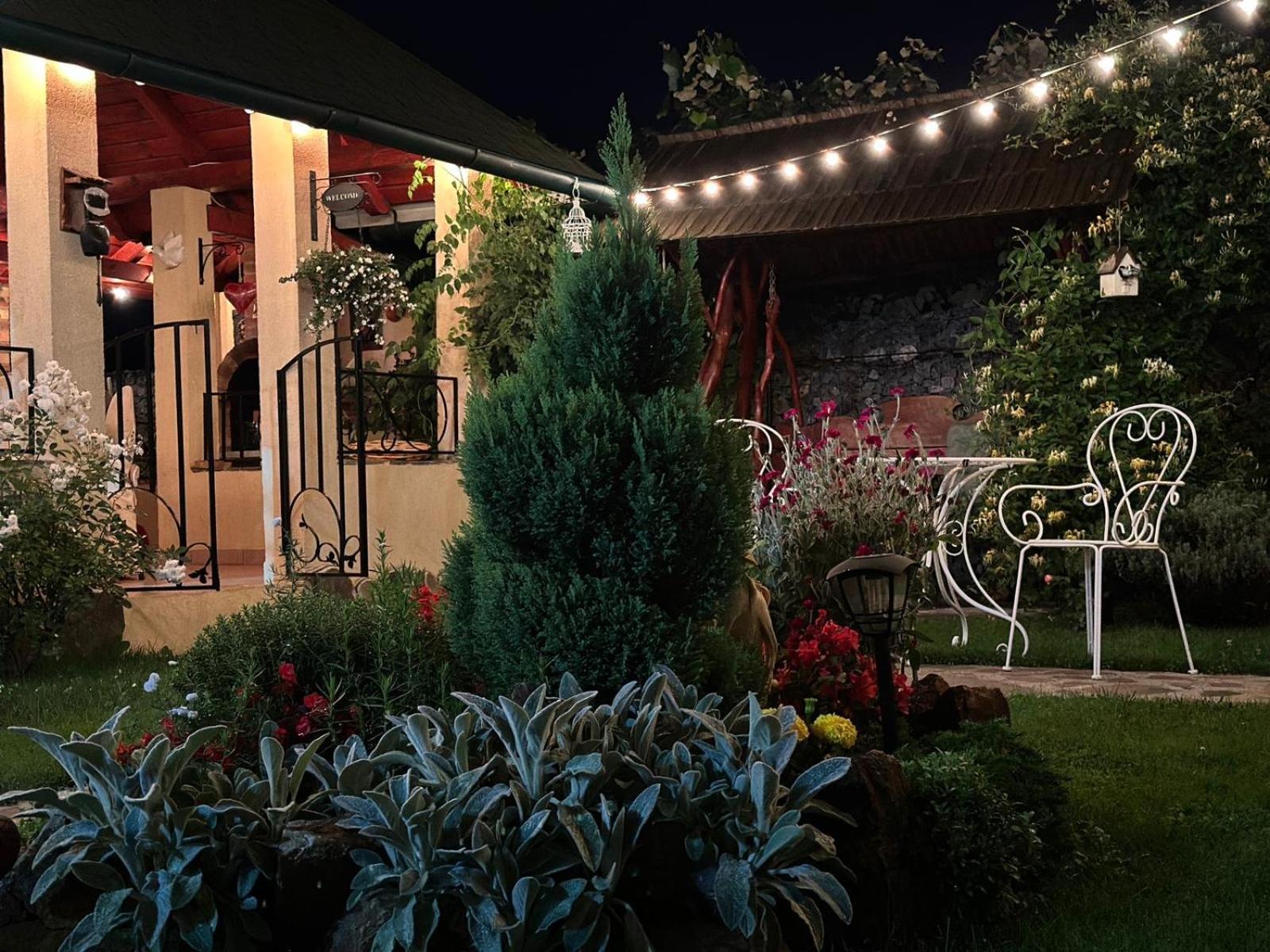 Casa Moldovan Ocna Şugatag エクステリア 写真