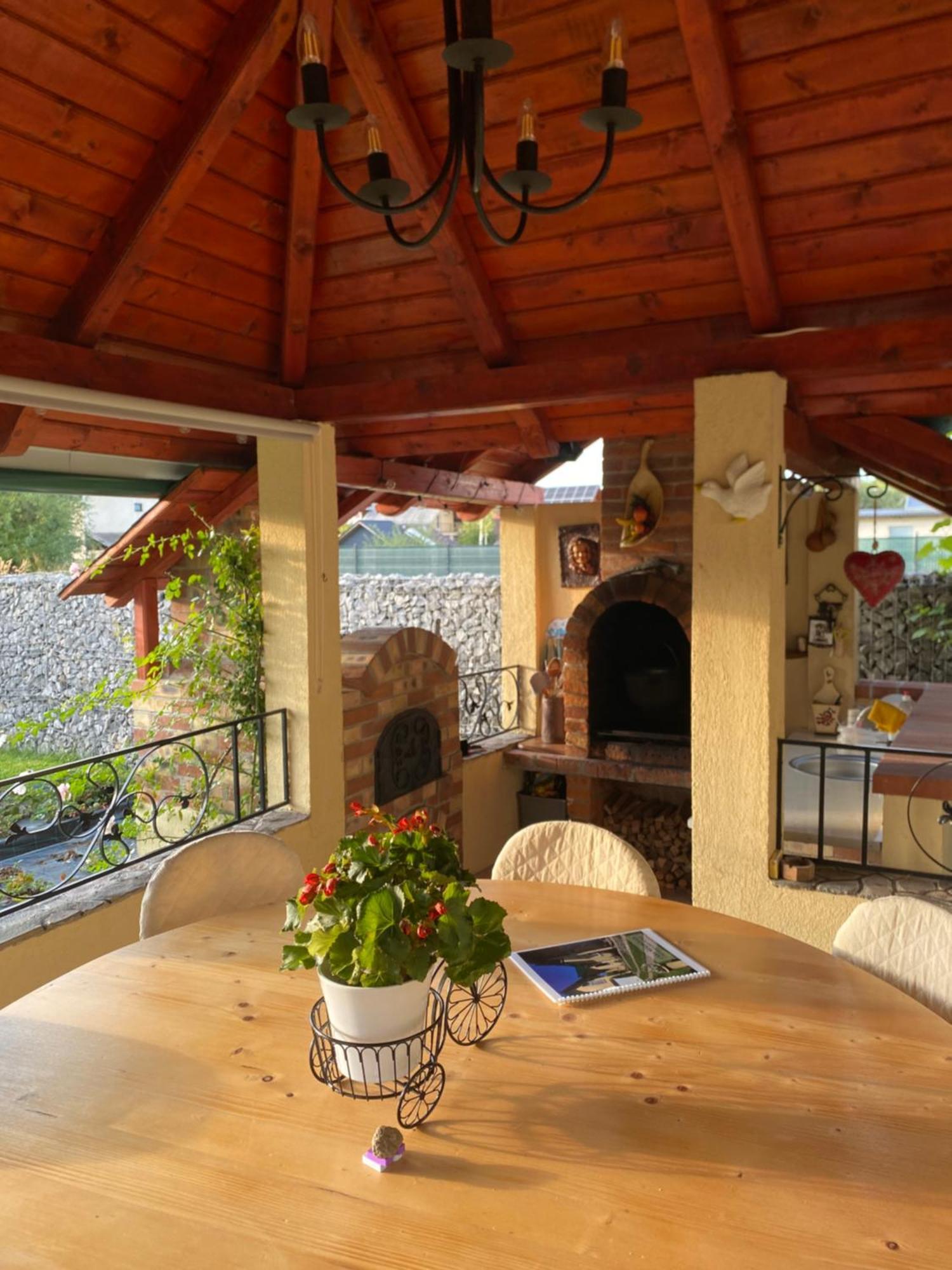 Casa Moldovan Ocna Şugatag エクステリア 写真